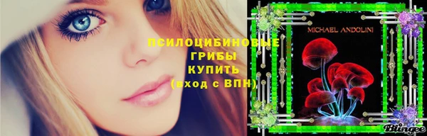 круглые Алексеевка