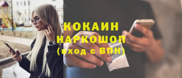 стаф Алексин