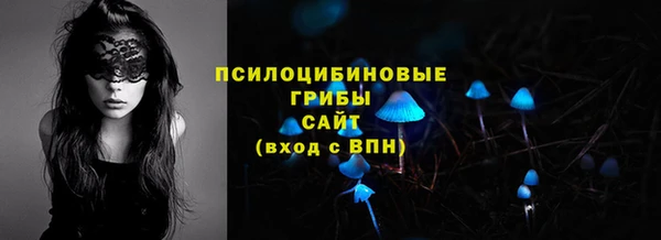 стаф Алексин
