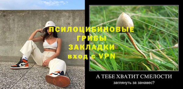 стаф Алексин